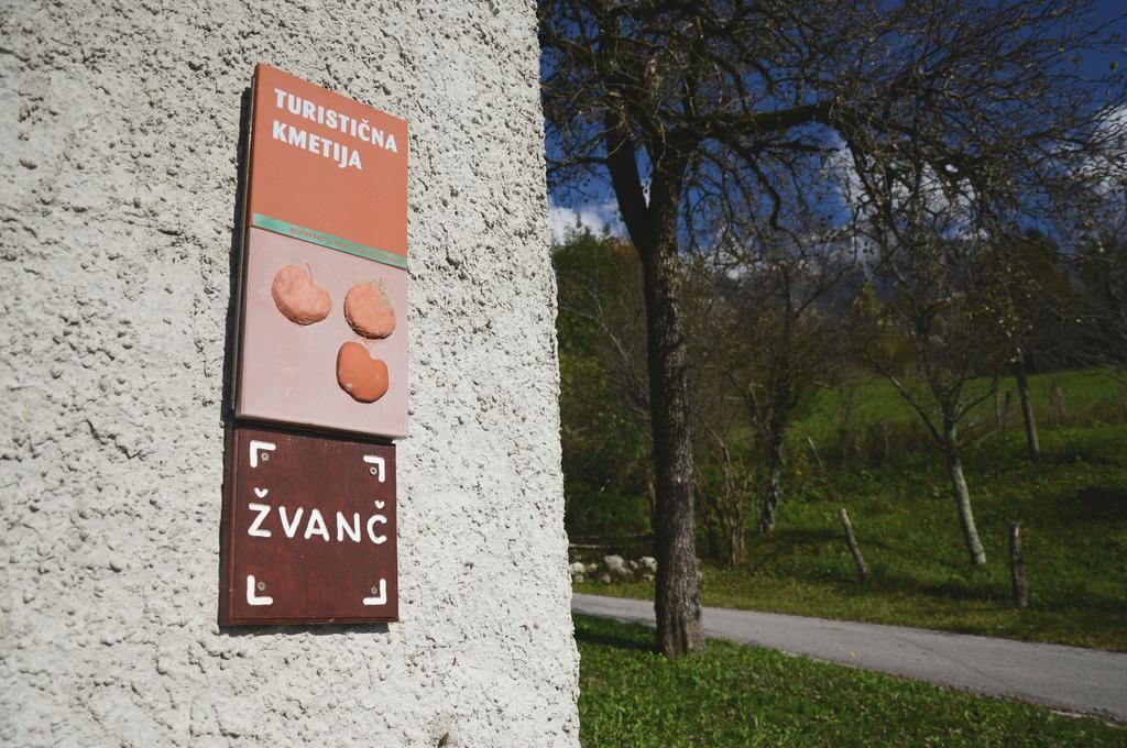 Tourist Farm Zvanc Кобарид Экстерьер фото